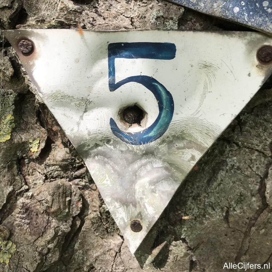 Afbeelding van het getal vijf (5)