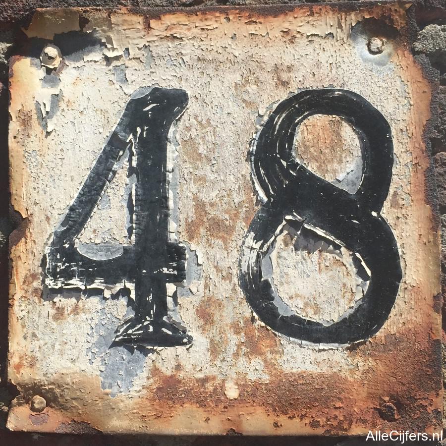 Afbeelding van het getal achtenveertig (48)