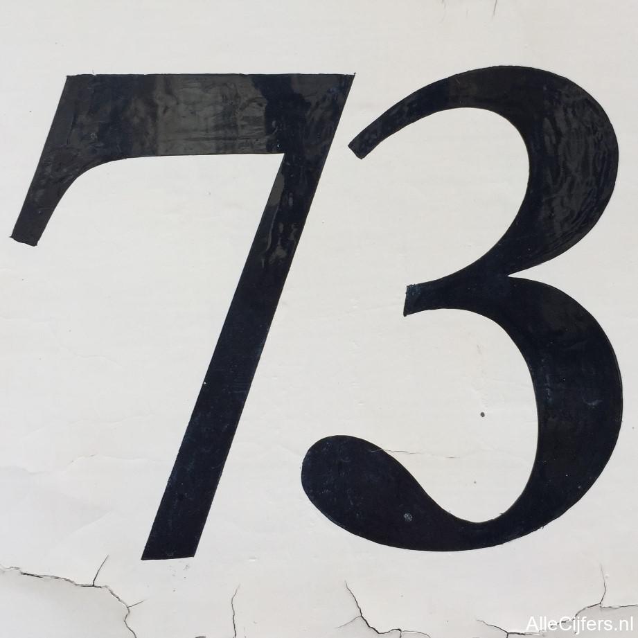 Afbeelding van het getal drieenzeventig (73)