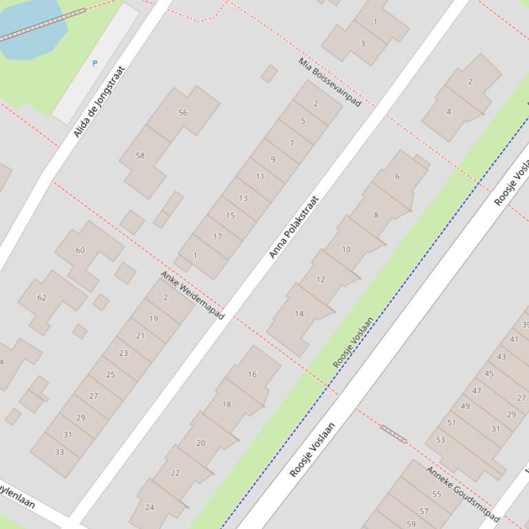 Kaart van de Anna Polakstraat.