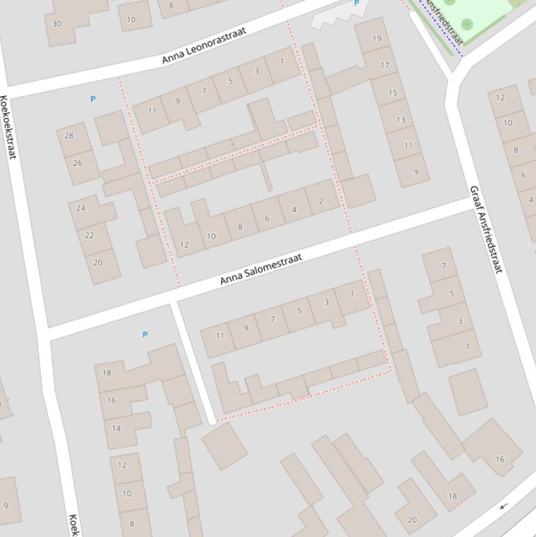 Kaart van de Anna Salomestraat.