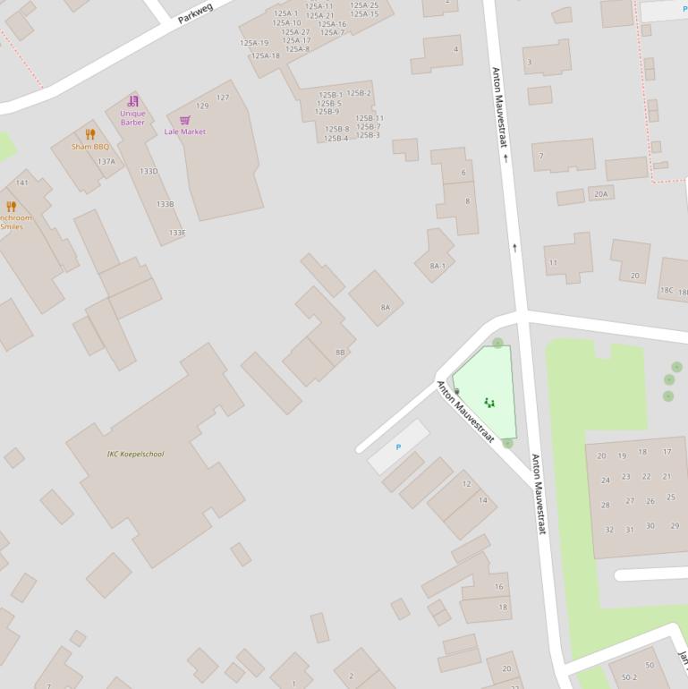 Kaart van de Anton Mauvestraat.