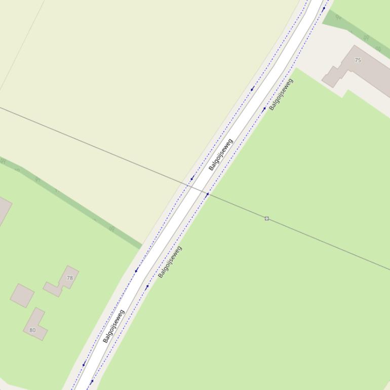 Kaart van de Balgoijseweg.