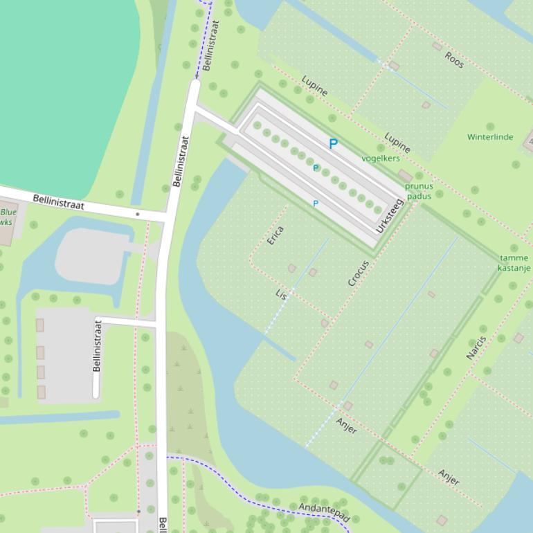 Kaart van de Bellinistraat.