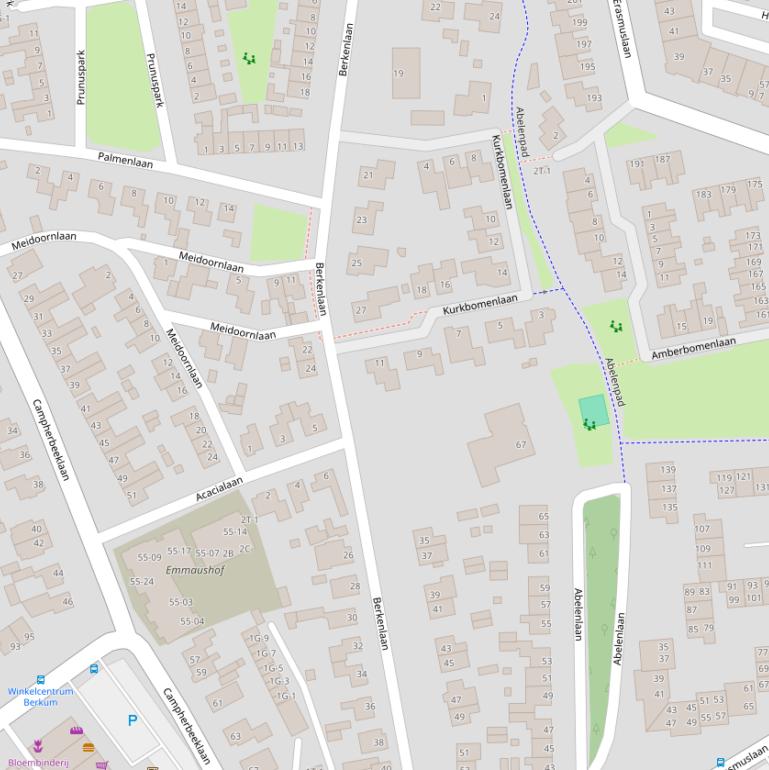 Kaart van de Berkenlaan.