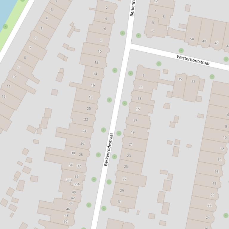 Kaart van de Berkenrodestraat.