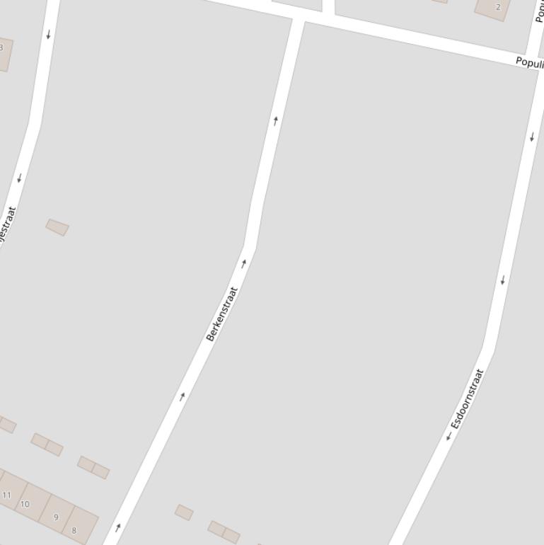 Kaart van de Berkenstraat.