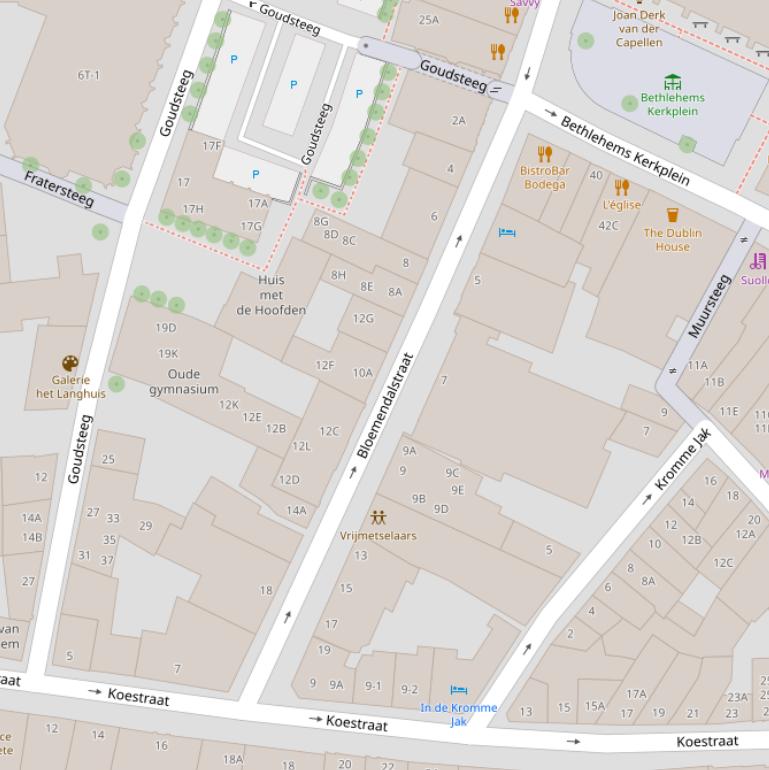 Kaart van de Bloemendalstraat.