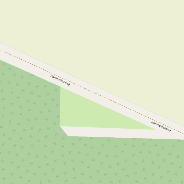 Kaart van de Bornevillerweg.