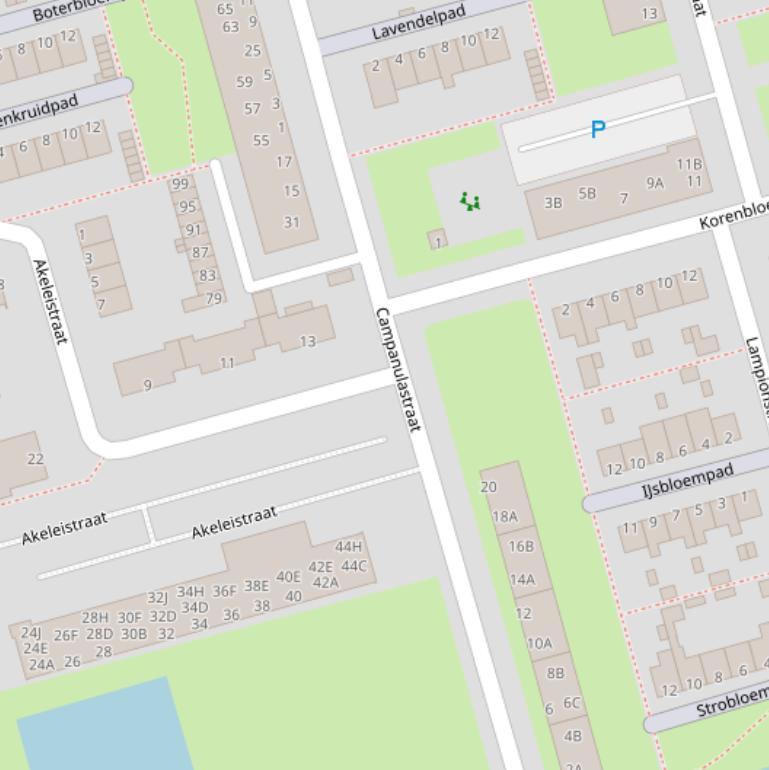 Kaart van de Campanulastraat.