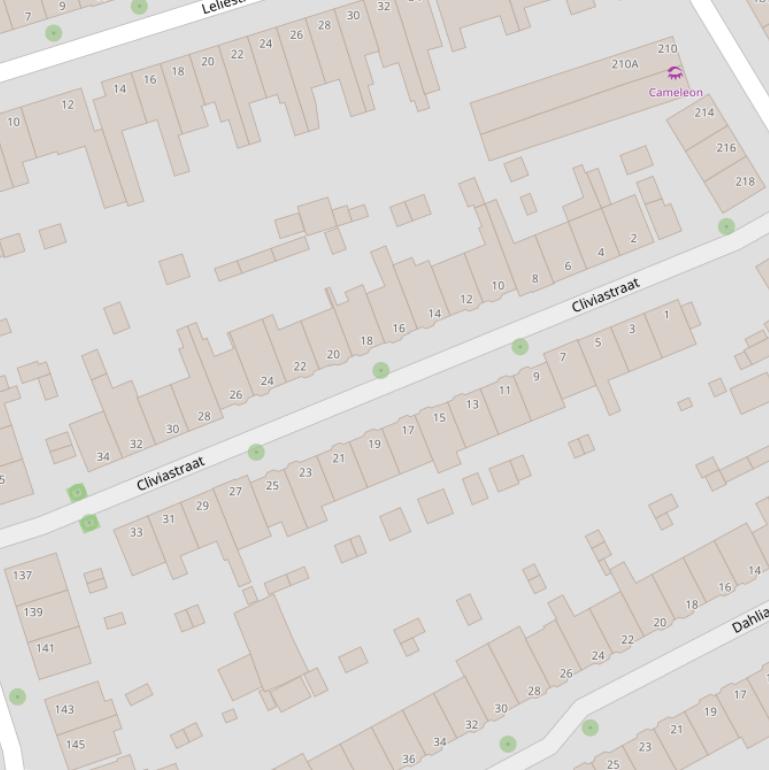 Kaart van de Cliviastraat.