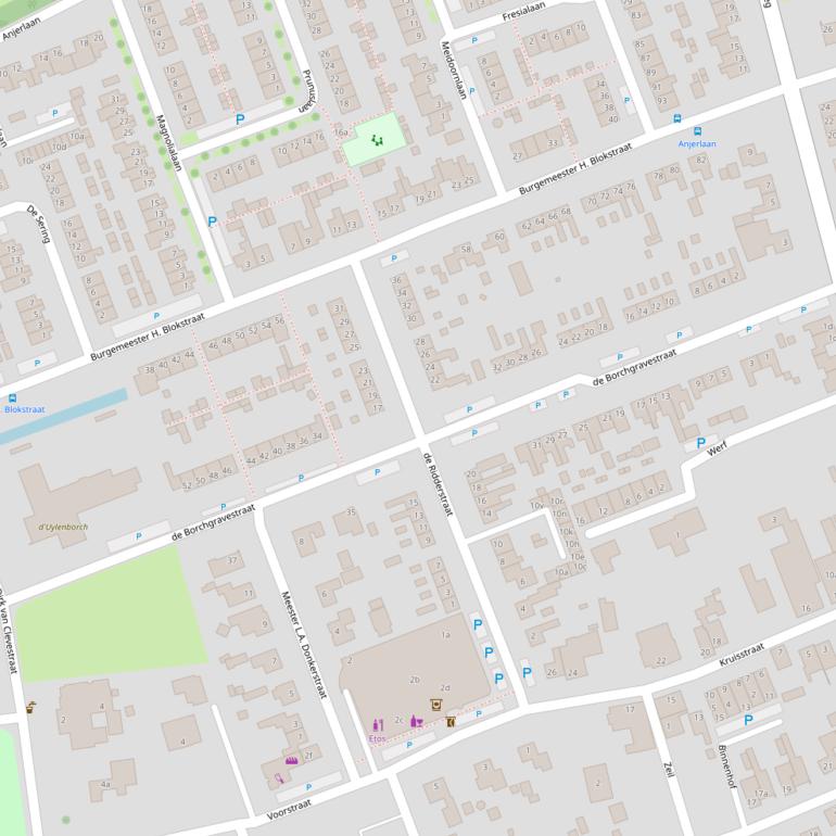 Kaart van  de Borchgravestraat.