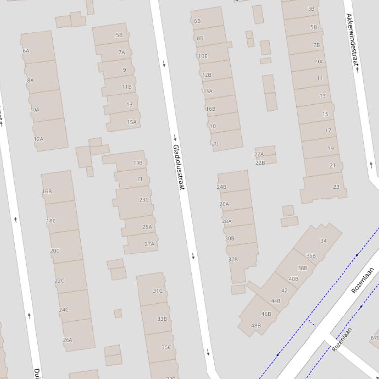 Kaart van de Gladiolusstraat.