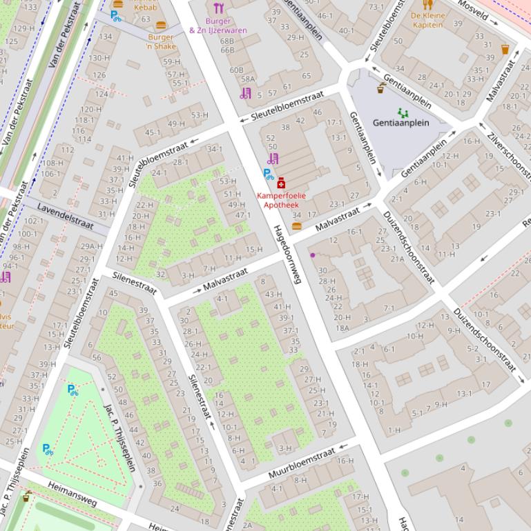 Kaart van de Hagedoornweg.