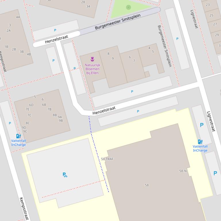 Kaart van de Henzelstraat.