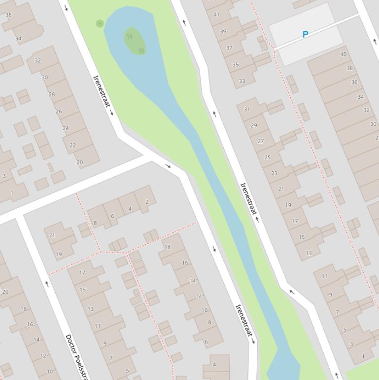 Kaart van de Irenestraat.