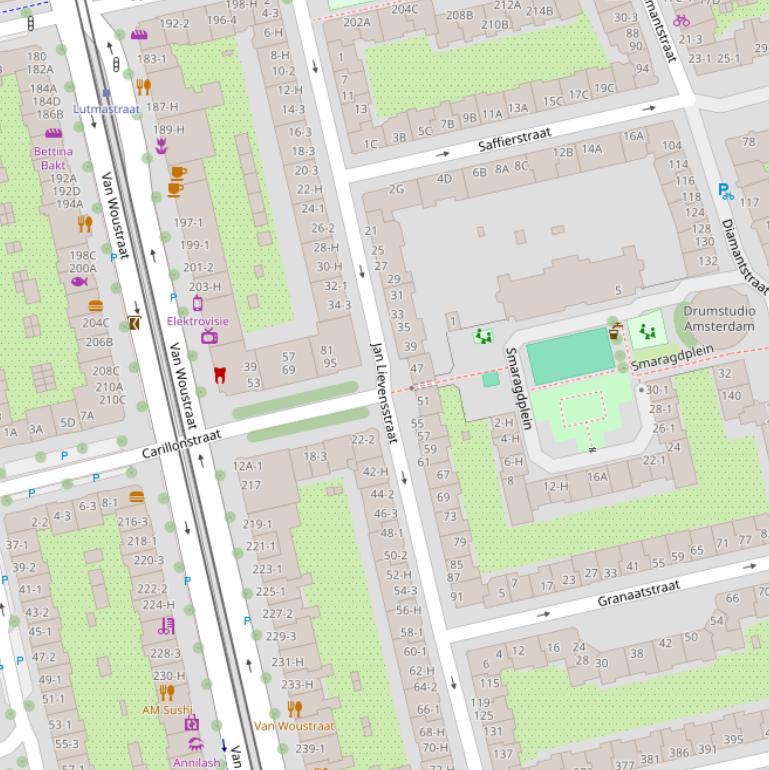 Kaart van de Jan Lievensstraat.