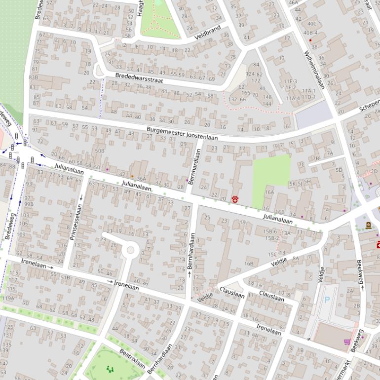 Kaart van de Julianalaan.