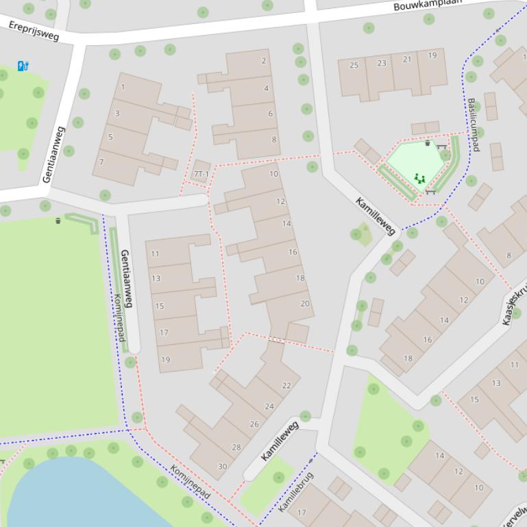 Kaart van de Kamilleweg.