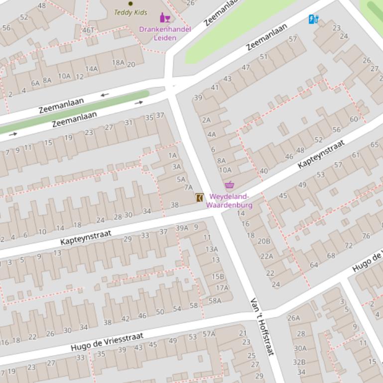 Kaart van de Kapteynstraat.