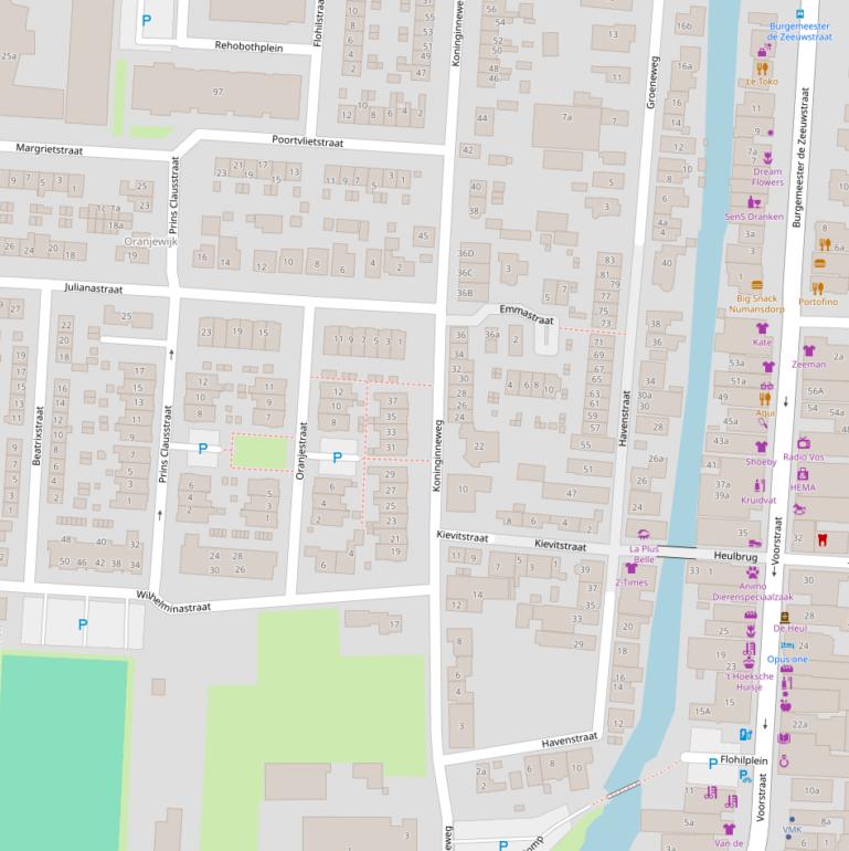 Kaart van de Koninginneweg.