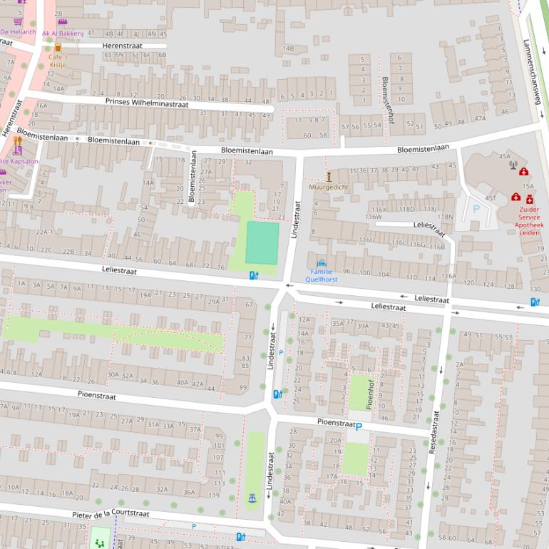 Kaart van de Leliestraat.