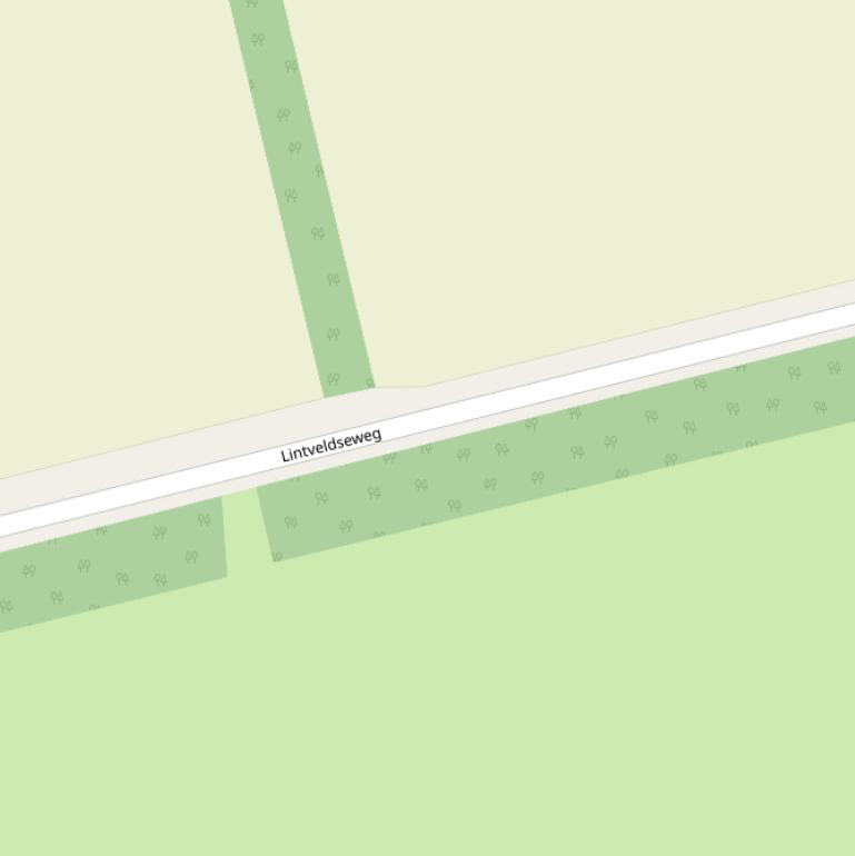 Kaart van de Lintveldseweg.