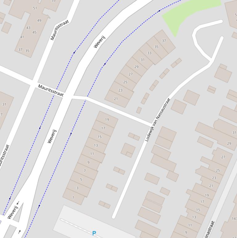 Kaart van de Lodewijk van Nassaustraat.