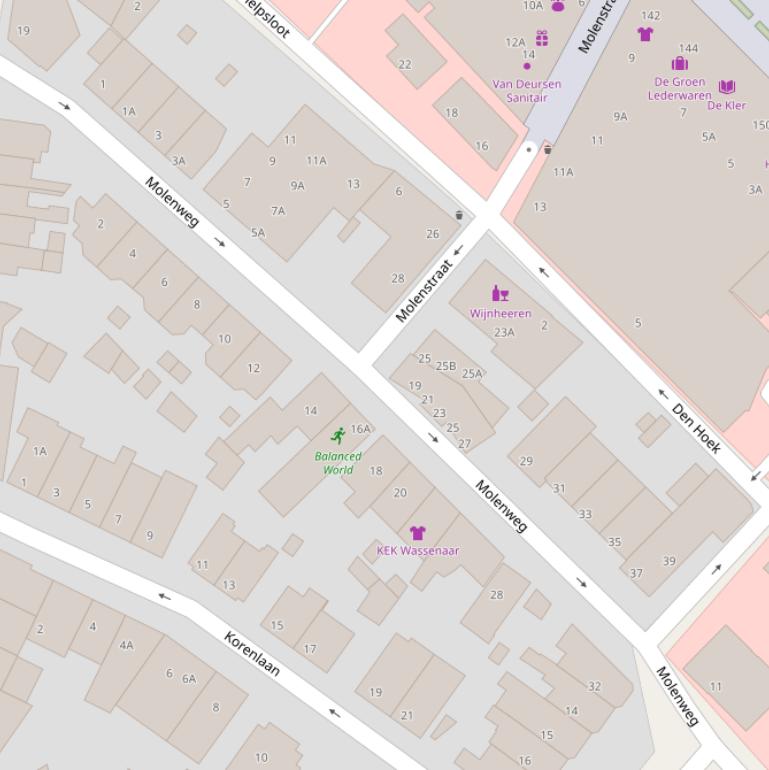 Kaart van de Molenweg.