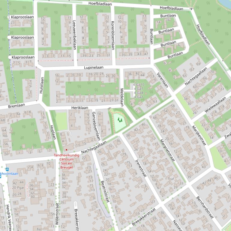 Kaart van de Nachtegaallaan.