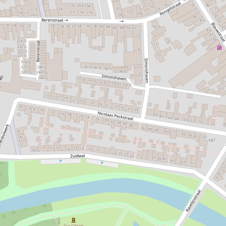 Kaart van de Nicolaas Peckstraat.