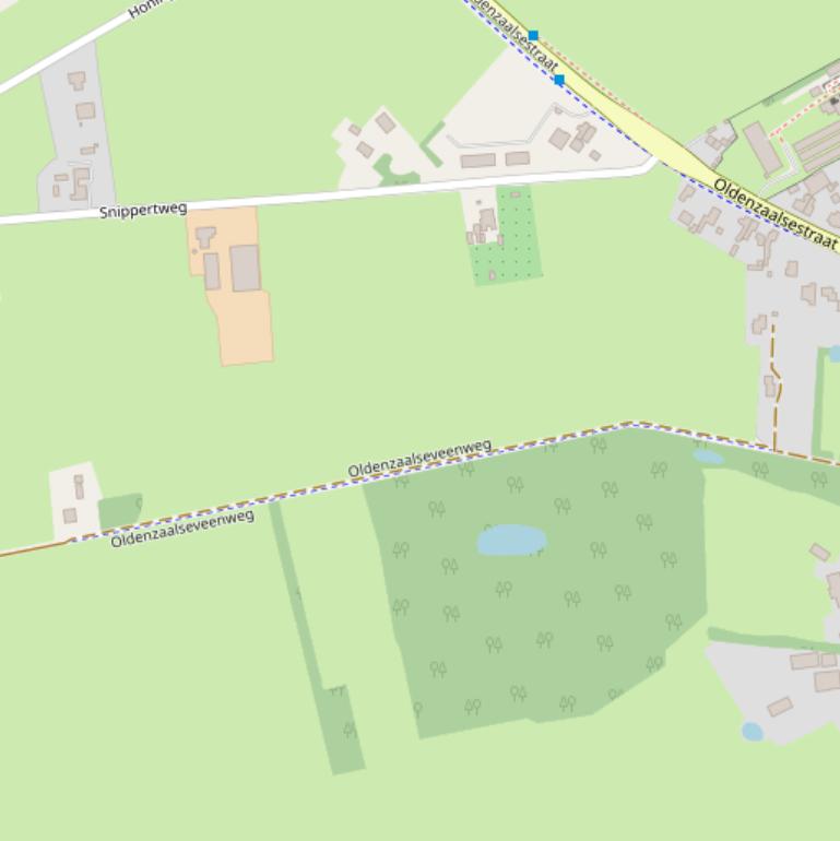 Kaart van de Oldenzaalseveenweg.