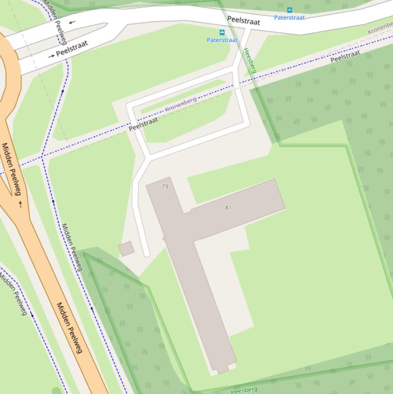 Kaart van de Peelstraat.