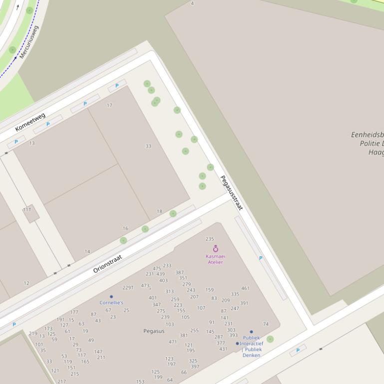 Kaart van de Pegasusstraat.