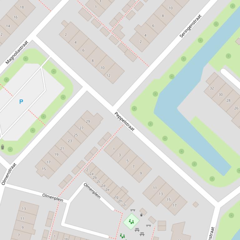 Kaart van de Peppelstraat.