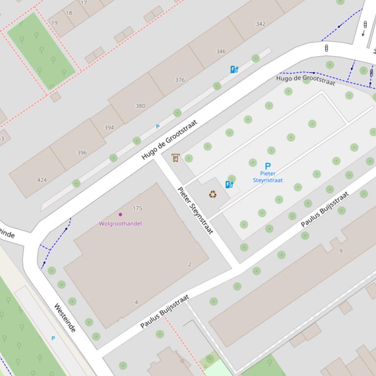 Kaart van de Pieter Steynstraat.