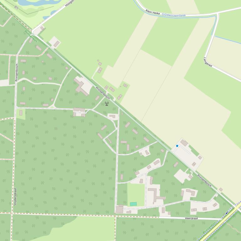 Kaart van  Prinsenbosch.