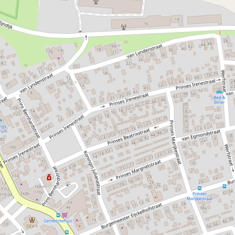 Kaart van de Prinses Irenestraat.