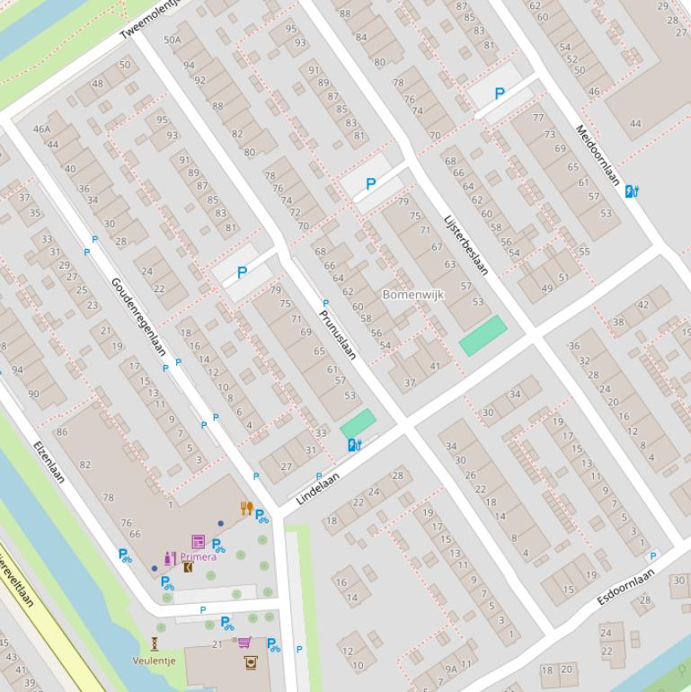 Kaart van de Prunuslaan.