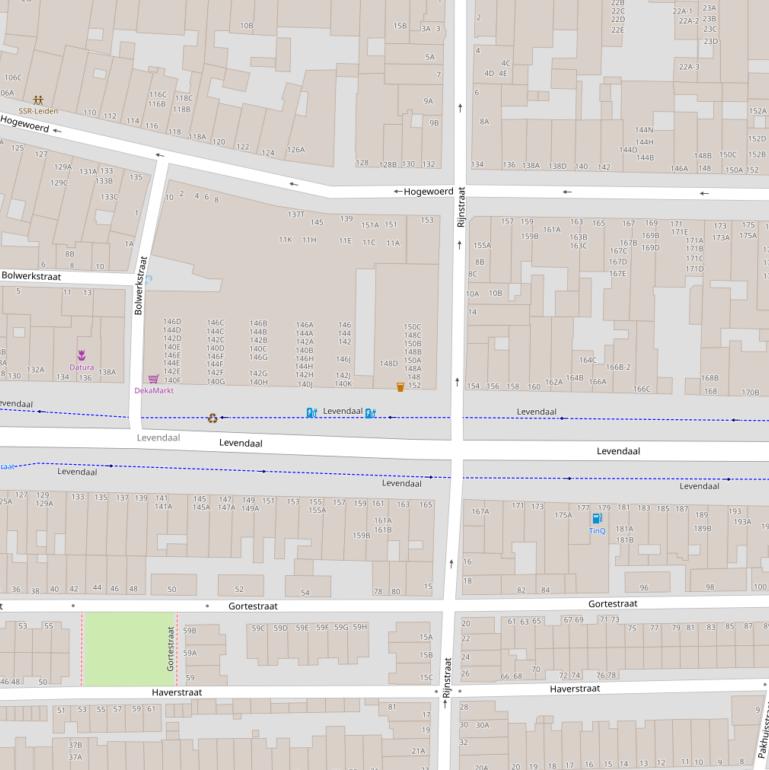 Kaart van de Rijnstraat.