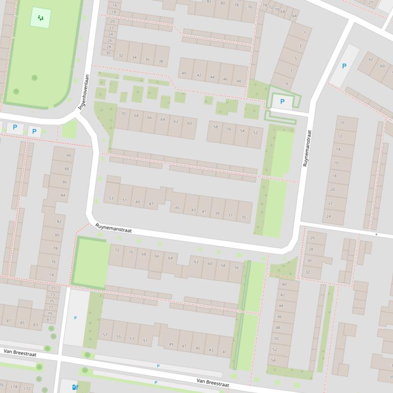 Kaart van de Ruynemanstraat.