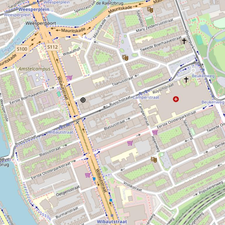 Kaart van de Ruyschstraat.