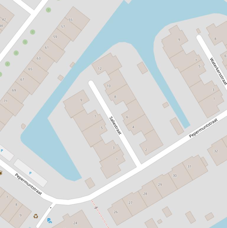 Kaart van de Saliestraat.