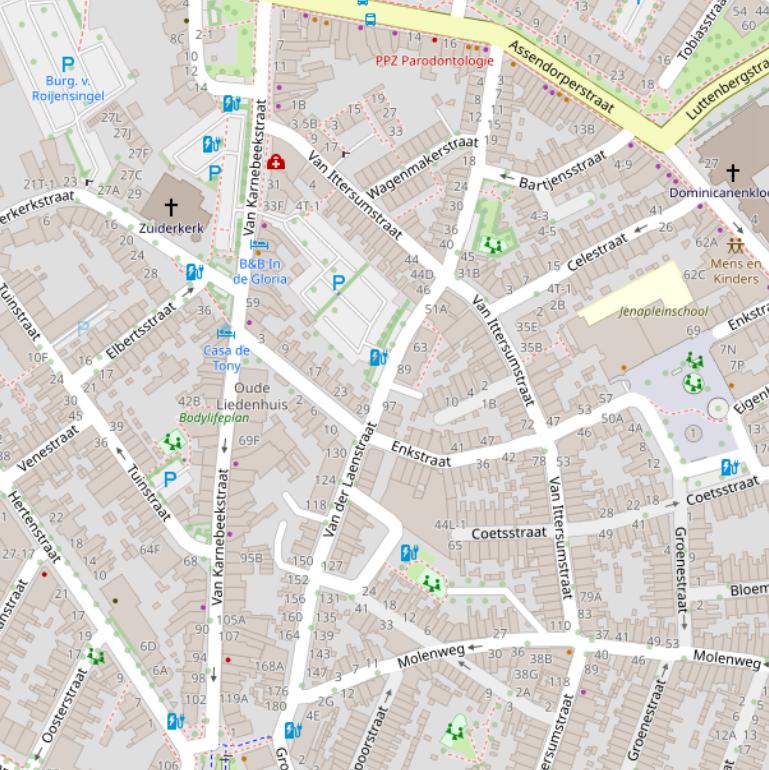 Kaart van de Van der Laenstraat.