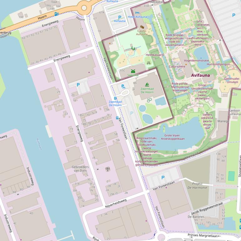 Kaart van de Van Foreestlaan.