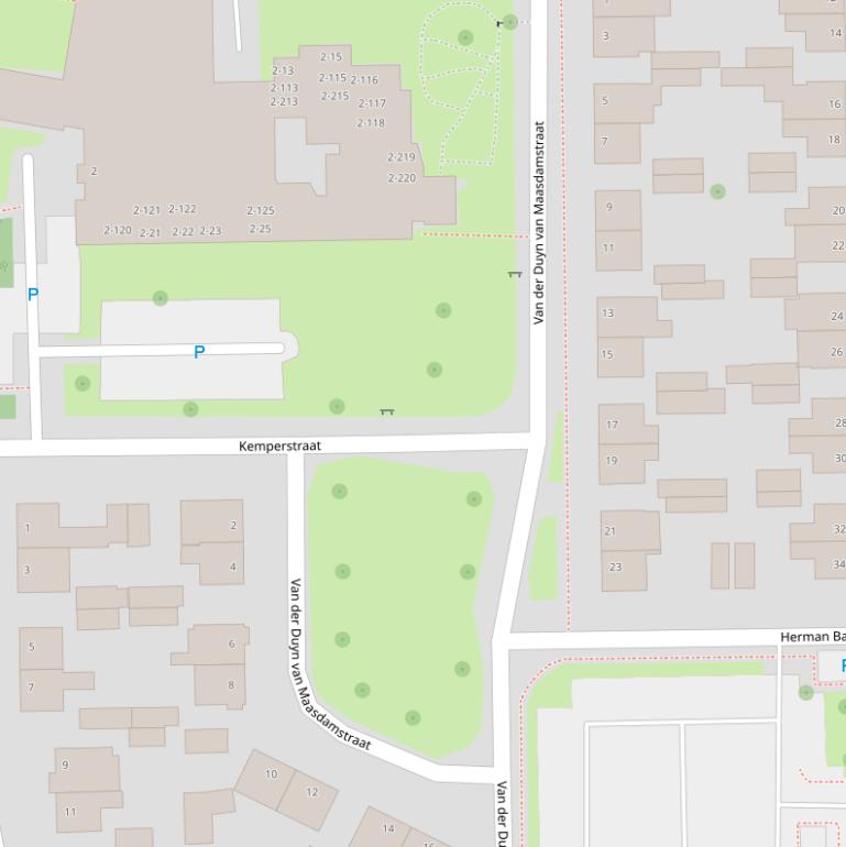 Kaart van  vd Duyn v Maasdamstr.