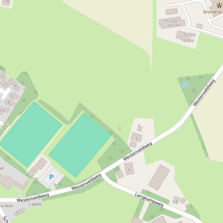 Kaart van de Westenveldweg.