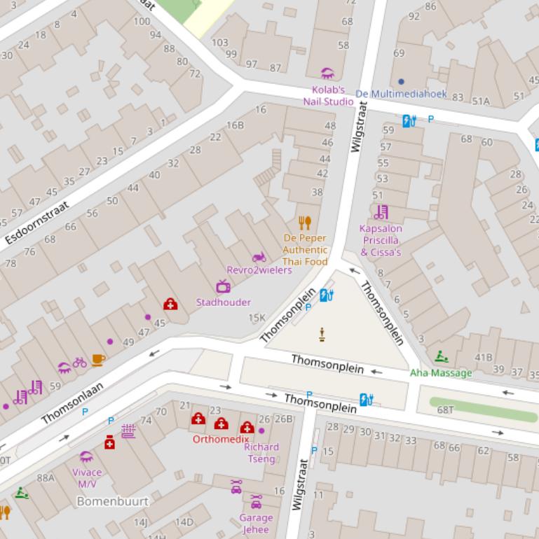 Kaart van de Wilgstraat.