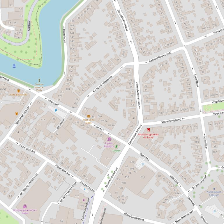 Kaart van de Zonnebloemstraat.