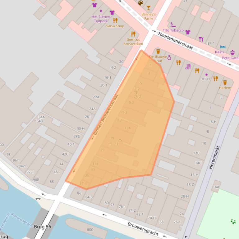 Kaart van postcodegebied 1013EE.